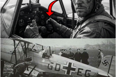 Sie verspotteten den “Bauern im Messerschmitt” — bis sein Manöver 11 Spitfires verwirrte