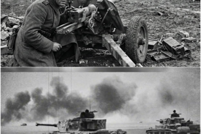 Der Panzer IV schien unbesiegbar – bis ein Soldat seine Schwachstelle hinter feindlichen Linien fand