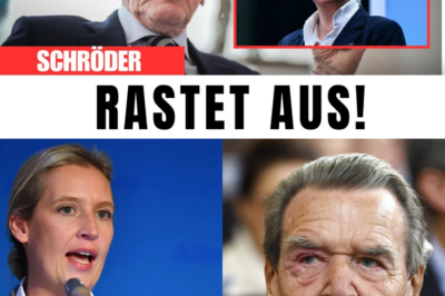 Schröder-Hammer in Berlin: Altkanzler rechnet mit SPD ab und warnt vor “Verrat am Volk” – Unerwartetes Lob für AfD-Positionen
