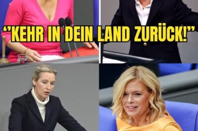 Die 8 Minuten des Verrats: Wie Alice Weidel Julia Klöckners Karriere beendete und den CDU-Agrarskandal enthüllte