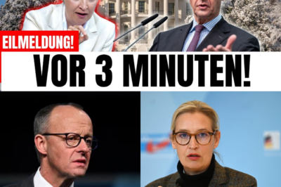 Politisches Erdbeben: Geheime Analysen enthüllen das Ende von Merz, den „Trump-Faktor“ und den unaufhaltsamen Aufstieg der AfD