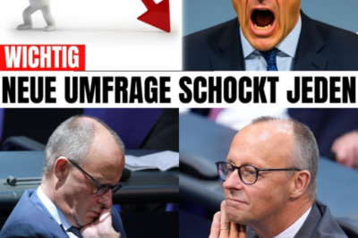 Historischer Absturz unter 20 Prozent: Friedrich Merz und das Ende der Volkspartei CDU – AfD enteilt auf Rekordwerte