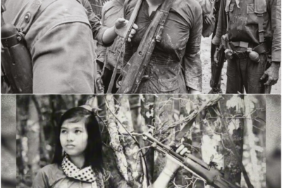 Als Vietcong-Kämpferinnen sagten: ‘Wir hassten die australischen Elitesoldaten