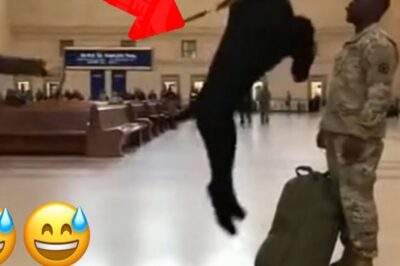 Nach Jahren des Wartens glaubt niemand mehr an ein Wiedersehen – doch plötzlich steht er da: der Soldat, den sein Hund nie vergessen hat. Die Reaktion des Tieres ist überwältigend, voller Zittern, Winseln und purer Freude, als hätte die Zeit nie existiert. Was dieser Moment offenbart, geht weit über ein einfaches Wiedersehen hinaus und zeigt eine Loyalität, die selbst abgebrühte Militärveteranen zu Tränen rührt… klickt auf den Link, um das ganze Video zu sehen.