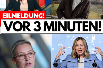 Melonis politische Bombe: Das unglaubliche Weidel-Statement, das Brüssel und Berlin in ihren Grundfesten erschüttert