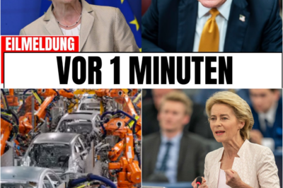 Gefährliche Drohkulisse: Wie Ursula von der Leyens Konfrontationskurs gegen Trump Europas Wohlstand aufs Spiel setzt