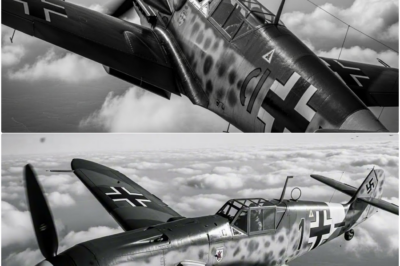 Warum Erich Hartmann der von amerikanischen Piloten meistgefürchtete deutsche Jagdflieger war