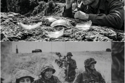 Die Glasscherben-Methode: 67 versteckte Sowjets an einem Nachmittag entdeckt