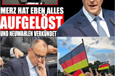 Die Abrechnung der Jungen: Renten-Rebellion spaltet die Union und besiegelt das Ende der Ära Merz – AfD übernimmt die Führung