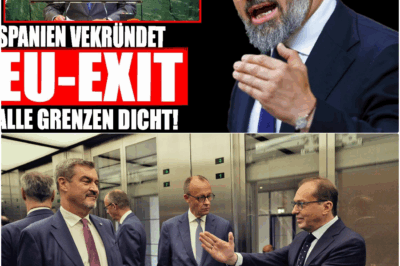 Politisches Erdbeben in Europa: Vom „Nationalen Selbstmord“ Spaniens bis zum Verrat in Berlin – Der Aufstand der Völker bricht alle Brandmauern