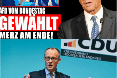 Die Brandmauer bricht: AfD auf Rekordkurs, CDU-Rebellen stürzen Merz ins Chaos und enthüllen den „Herbst des Betrugs“