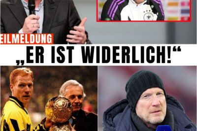 Das Sammer-Beben: Mit 56 Jahren rechnet Matthias Sammer mit den fünf „Provokateuren“ des deutschen Fußballs ab – Die Wahrheit über Haltung, Mythos und den drohenden Identitätsverlust