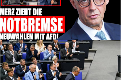 Merz zieht die Notbremse: Deutschland steht vor Neuwahlen – und dem Ende der Brandmauer zur AfD