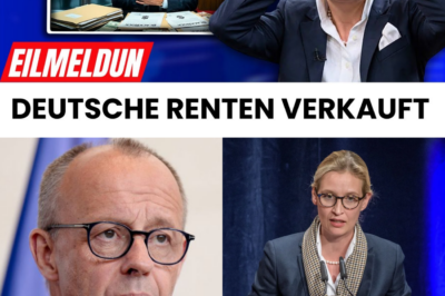 Der BlackRock-Schatten über Berlin: Wurde die deutsche Rente heimlich an die Wall Street verkauft?