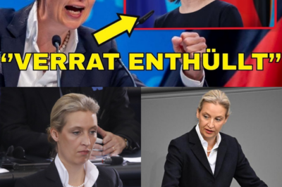 Die „März-Protokolle“: Wie Baerbock und ein geheimes Netzwerk Deutschlands Wohlstand und Souveränität opferten