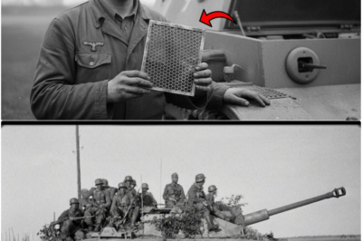 Wie ein Mechaniker mit einem T-34-Kühlergitter 1.200 StuG-Besatzungen rettete