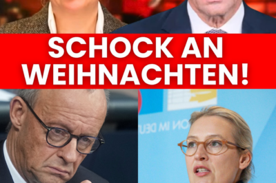 Weihnachts-Duell der Giganten: Weidels viraler Triumph entlarvt Merz’ Einsamkeit – Ist das das Ende der “Kanzlermehrheit”?