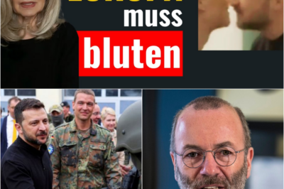 „Europa muss bluten!“ – Manfred Webers schockierende Forderung nach EU-Soldaten in der Ukraine und der Plan für eine europäische Armee
