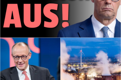 Schock im Kanzleramt: Friedrich Merz kündigt das Scheitern der Koalition an – Deutschland steht vor dem wirtschaftlichen Abgrund