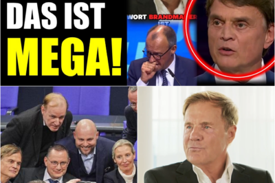 Politischer Paukenschlag: AfD bietet Merz Unterstützung an – und Dieter Bohlen rechnet mit der Brandmauer ab