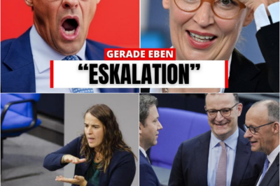 Der Verrat am Sozialstaat: Wie Heike Heubach Friedrich Merz im Bundestag in die Falle lockte und seine Doppelbotschaft entblößte