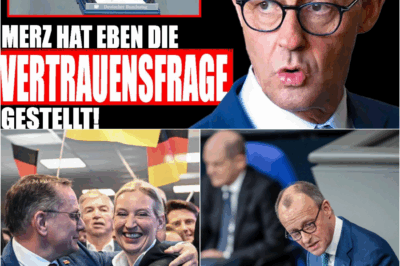 Merz vor dem Scherbenhaufen: Die Vertrauensfrage entlarvt den totalen Bankrott der Schwarz-Roten – AfD zieht vorbei und das Land bricht zusammen