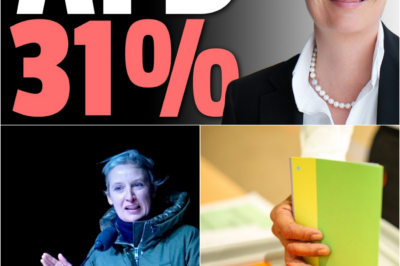 Politisches Beben in Deutschland: AfD klettert auf Rekordwerte von 31% – Ampel-Parteien im freien Fall