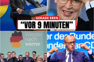 Machtkampf-Eklat in der Union: Merz (70) bedroht junge Abgeordnete – “Ich sehe genau, wer nicht klatscht”