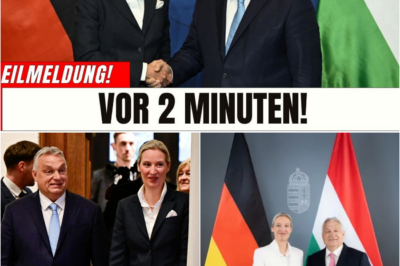 Der Brückenkopf der Freiheit: Wie Orbán und die AfD eine Allianz schmieden, die Europa spaltet und Trump nach Budapest lockt