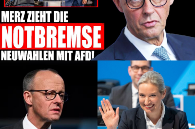 Historischer Wendepunkt in Berlin: Merz vor dem Aus? Brandmauer bröckelt massiv – Ruf nach Neuwahlen und AfD-Zusammenarbeit wird lauter!