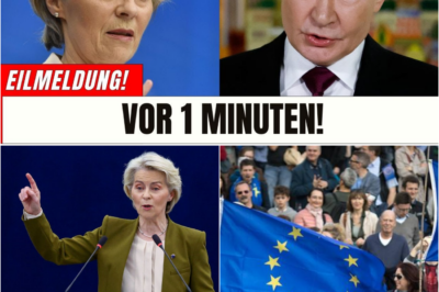 Das 140-Milliarden-Pulverfass: Wie Schwedens Ultimatum, Dänemarks Tabubruch und Moskaus „Diebe“-Rhetorik die Europäische Union an den Rand des Zerfalls bringen