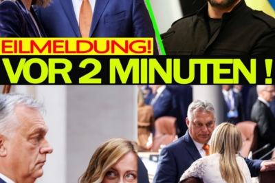 Schock für Selenskyj, Albtraum für Deutschland: Orbán und Meloni drehen den Geldhahn zu – Droht uns jetzt der finanzielle Alleingang?