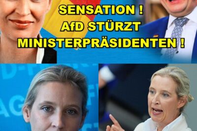 Das Ende der Brandmauer: Wie die AfD die Grünen in ihrer Hochburg stürzt und die CDU in eine Zerreißprobe zwingt