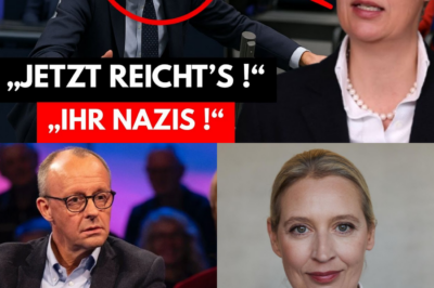 Politisches Erdbeben im Bundestag: Alice Weidel zerlegt Friedrich Merz und warnt vor dem “Weltkrieg”