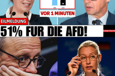 Der 51-Prozent-Schock: Wie eine einzige Zahl das politische Berlin in den Abgrund reißt und die Ära Merz beendet