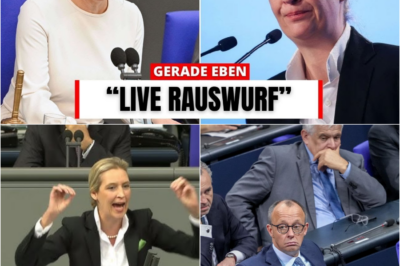 „Verlassen Sie den Saal!“ – Eklat im Bundestag: Wenn die politische Debatte zur Schlammschlacht wird