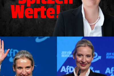 Das Ende der Brandmauer: Warum Deutschlands Wirtschaftselite jetzt den Dialog mit der AfD sucht