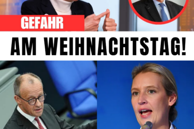 Alice Weidels düstere Prognose: Warum unser Weihnachtsfest zur Zielscheibe wird und die Regierung die Kontrolle verliert