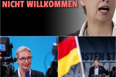 Politische Brandmauer im Wasser: DLRG schließt AfD-Mitglieder aus und löst massive Protestwelle aus