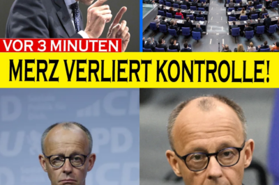 Schlachtfeld Bundestag: Friedrich Merz verliert die Kontrolle, Weidel deckt Staatsbankrott auf – Sitzung abgebrochen!