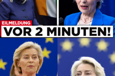 Panik in Brüssel: Irland probt den Aufstand, Elon Musk gießt Öl ins Feuer und Ursula von der Leyen verliert die Kontrolle über ihr “Musterschüler-Land”