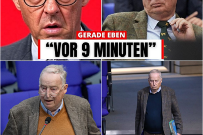 Alexander Gauland am Abgrund: Gejagt, isoliert und im eigenen Haus gefangen – Die erschütternde Wahrheit über das Ende einer Ära