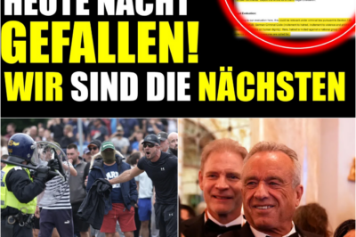 Geheime EU-Papiere enthüllt: Steht uns nach dem „Fall Englands“ der Zensur-Hammer und der „Gläserne Bürger“ bevor?