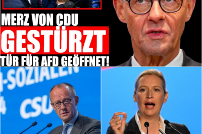Der politische Erdrutsch: CDU reißt Brandmauer zur AfD ein – Das Ende der Ära Merz ist eingeläutet