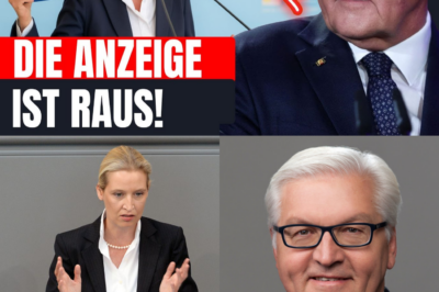 Alice Weidels Generalabrechnung: „Wirtschaftliches Desaster“, Milliarden-Schulden und die scharfe Kritik an Steinmeiers Verbots-Fantasien