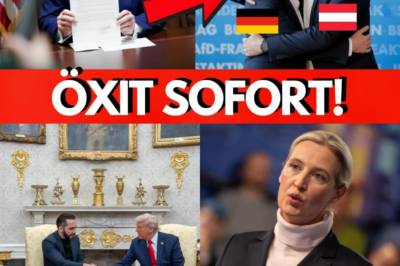 Das „Trump-Leak“: Geheimer US-Plan zur Neuordnung Europas enthüllt – Österreich vor dem EU-Aus und Merz in Panik?
