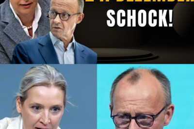 Alarmstufe Rot zum Fest: Alice Weidel warnt vor dem Ende unserer Traditionen und Sicherheit