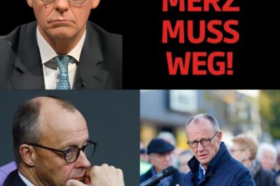 Politisches Erdbeben: Merz in Krisensitzung gestürzt – Steht die CDU vor dem AfD-Tabubruch?