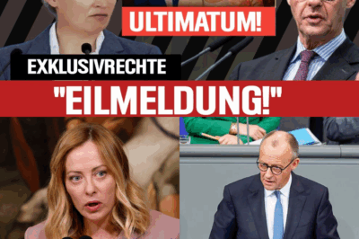 Das Meloni-Ultimatum: Wie Italiens Eiserne Lady Berlin und Brüssel mit einer historischen Kampfansage in Panik versetzt