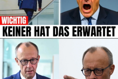 Historischer Eklat im Bundestag: Kanzler Merz flieht vor Weidels Enthüllungen – Regierung vor dem Aus?